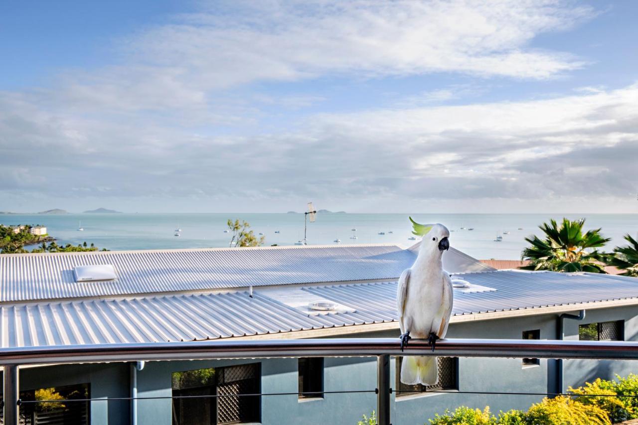 Toscana Village Resort Airlie Beach Exterior photo